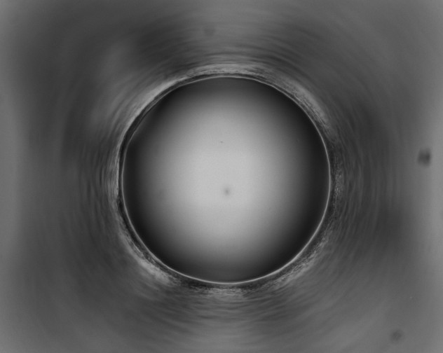 X0000100870844200806201238