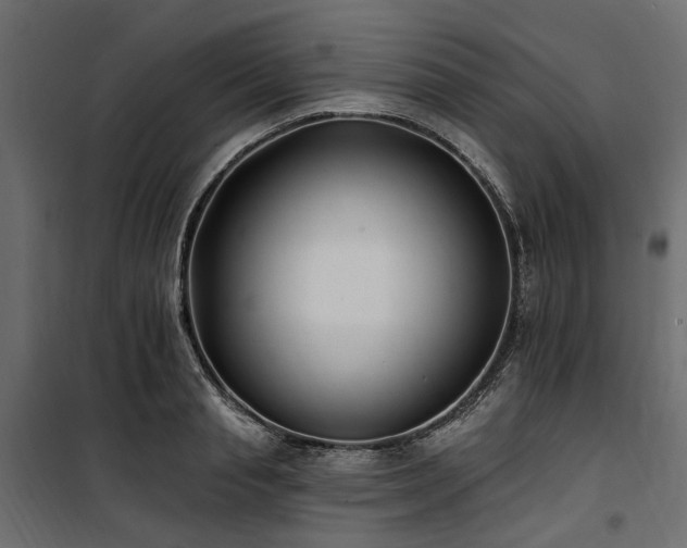 X0000100870845200806201239