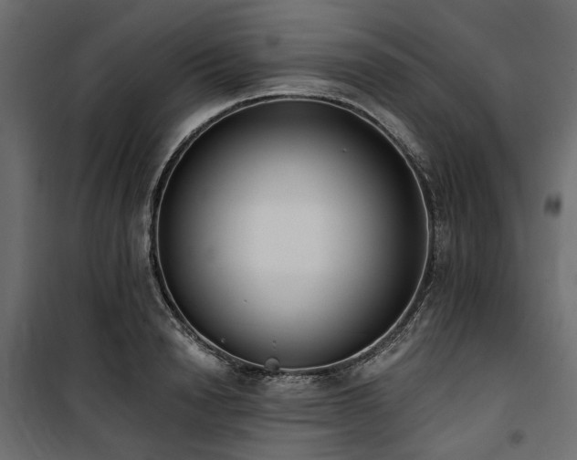 X0000100870846200806201239