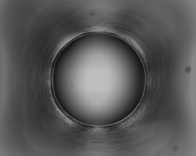 X0000100870847200806201239