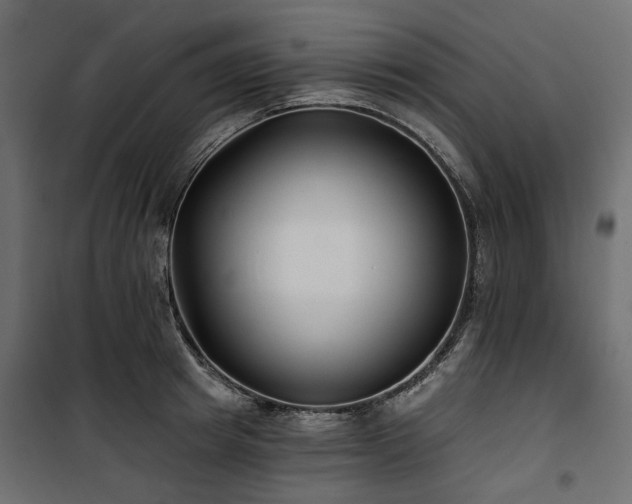 X0000100870849200806201239