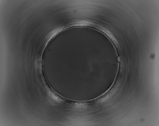 X0000100870850200806201239