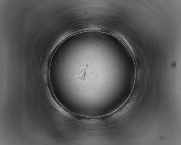 X0000100870851200806201239