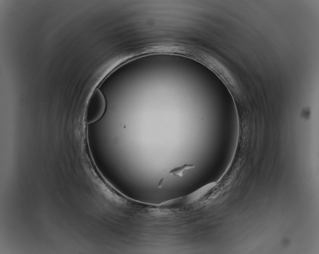 X0000100870852200806201239
