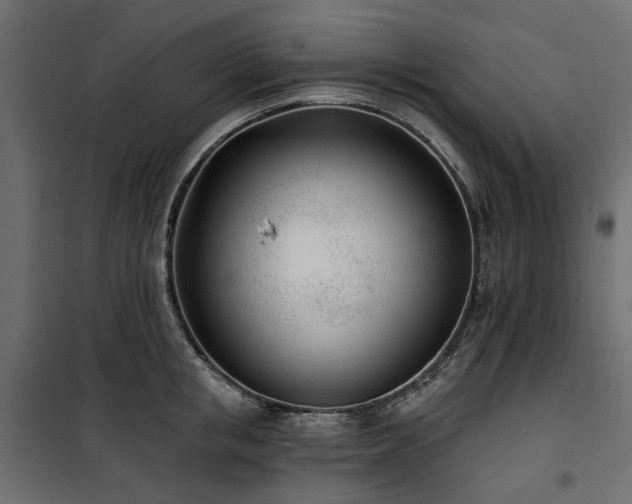 X0000100870853200806201239