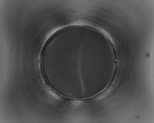 X0000100870854200806201239