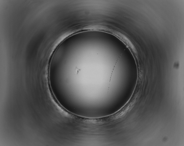 X0000100870855200806201239