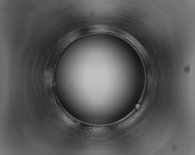 X0000100870857200806201239