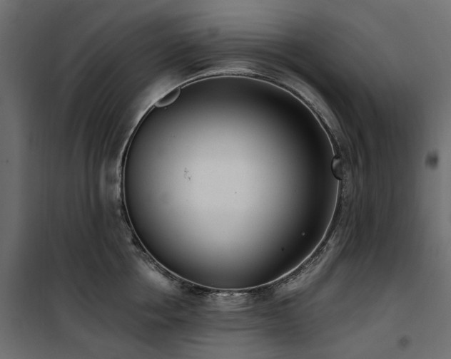 X0000100870858200806201239
