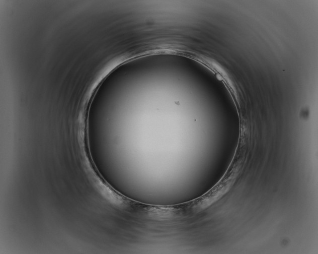 X0000100870859200806201239