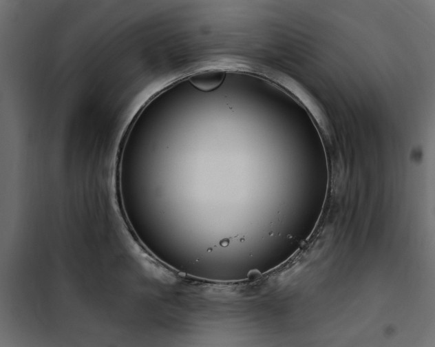 X0000100870861200806201239