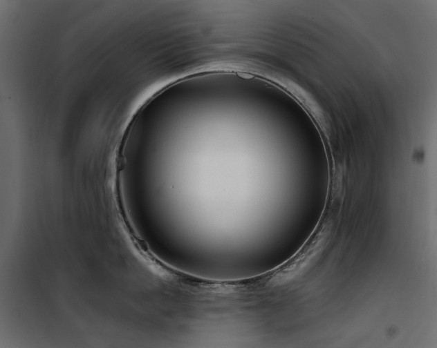 X0000100870862200806201239