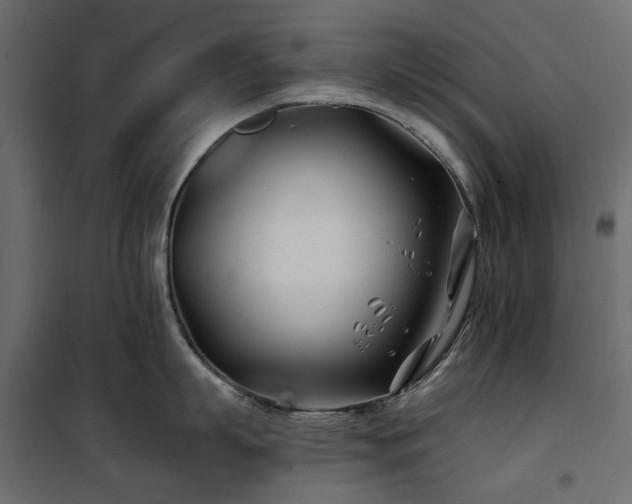 X0000100870863200806201239