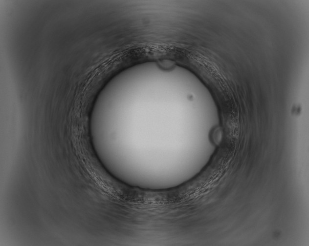 X0000100870865200806201238
