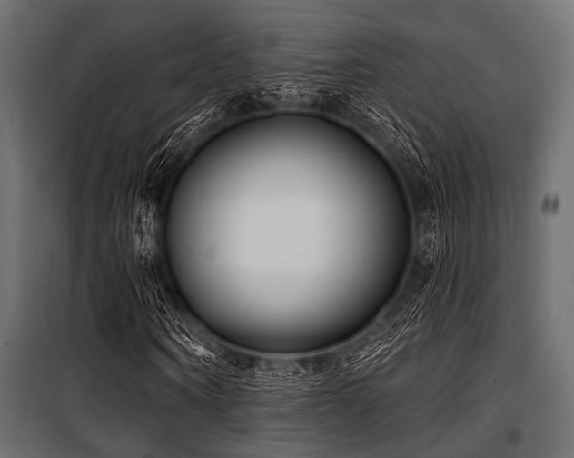 X0000100870866200806201238