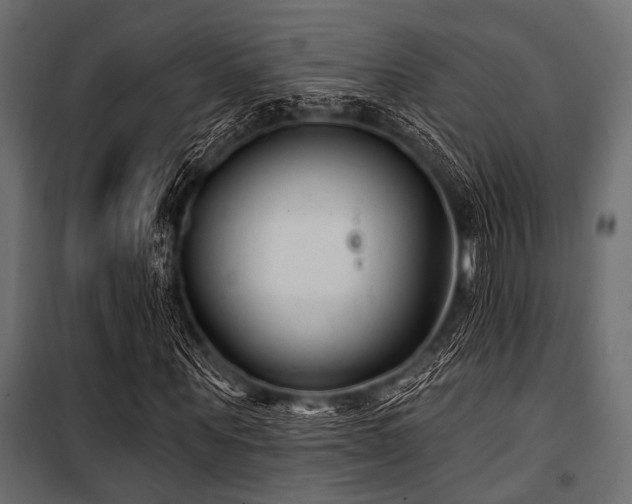 X0000100870867200806201238