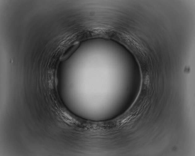 X0000100870868200806201238