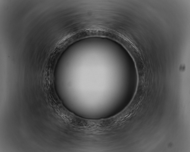 X0000100870870200806201238