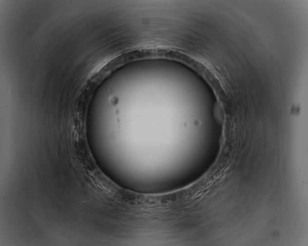 X0000100870871200806201238