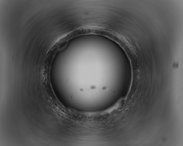 X0000100870872200806201238