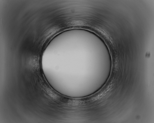 X0000100870873200806201238