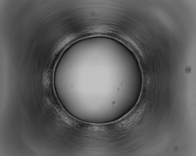 X0000100870874200806201238