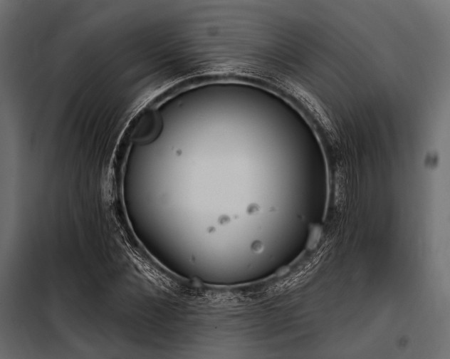 X0000100870876200806201238