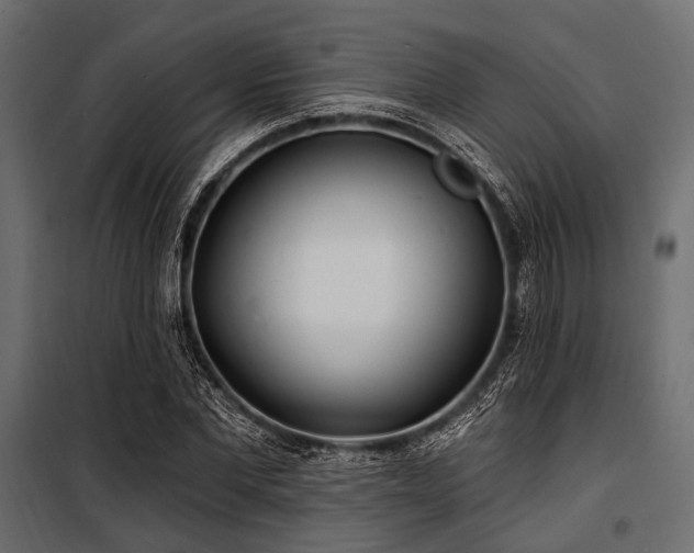 X0000100870877200806201238
