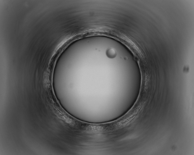 X0000100870878200806201238