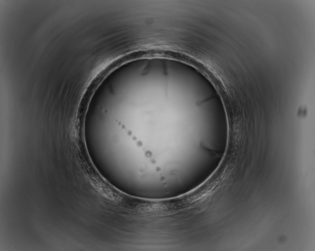 X0000100870879200806201238