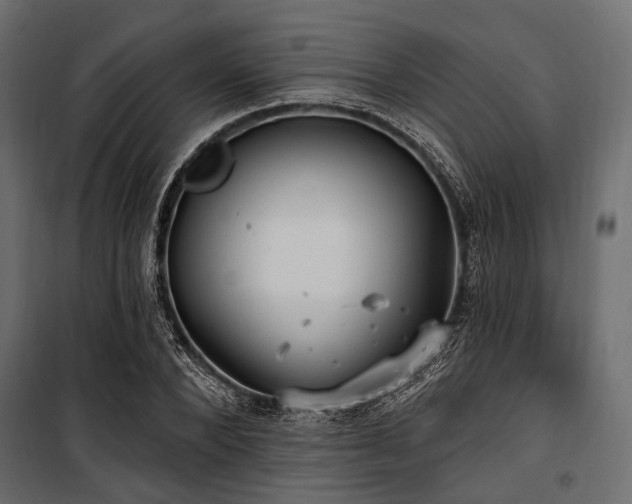 X0000100870880200806201238