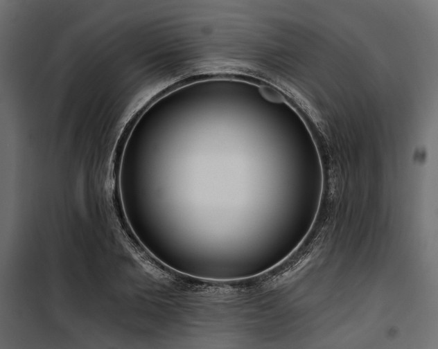 X0000100870885200806201238
