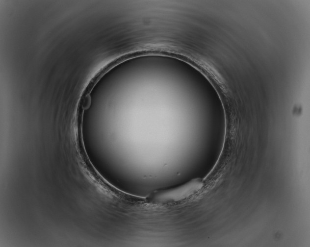 X0000100870888200806201238