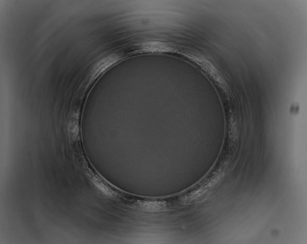 X0000100870889200806201238