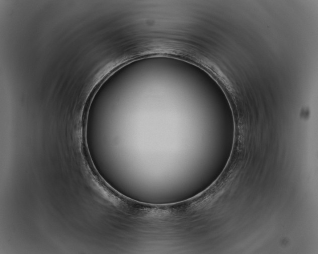 X0000100870890200806201238