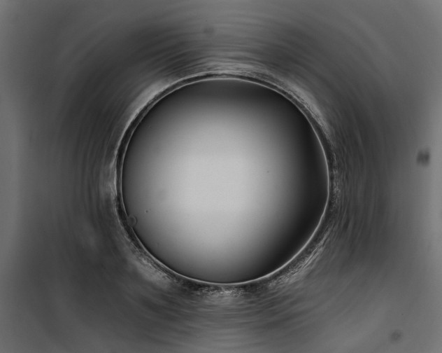 X0000100870891200806201238