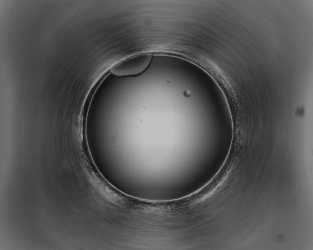 X0000100870892200806201238