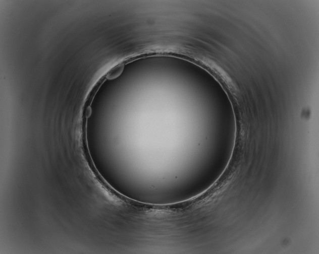 X0000100870894200806201238