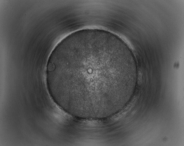 X0000100870895200806201238