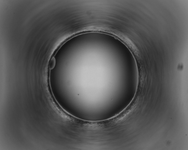 X0000100870896200806201237