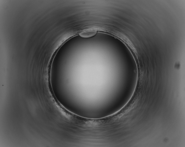X0000100870898200806201237