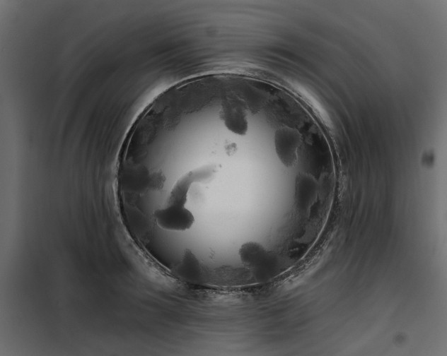 X0000100870899200806201237