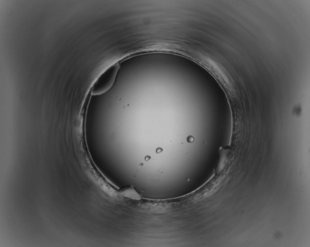 X0000100870900200806201237