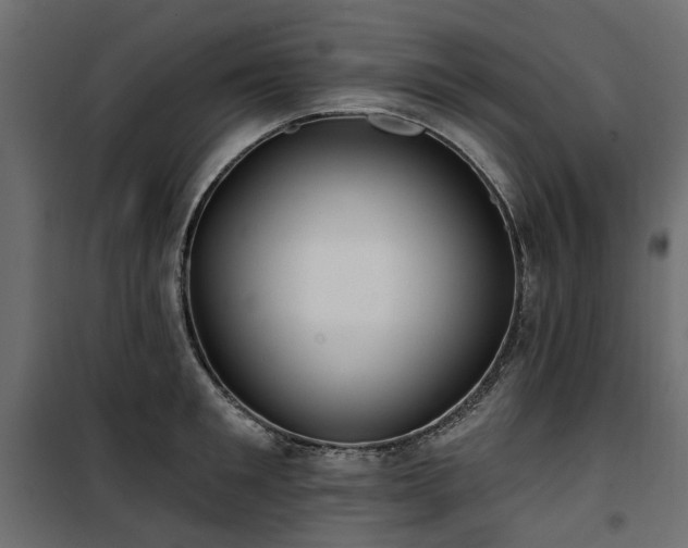 X0000100870901200806201237