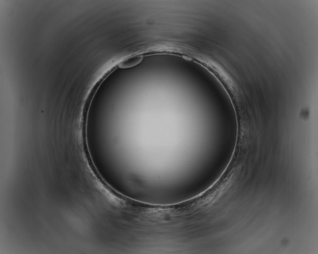 X0000100870902200806201237