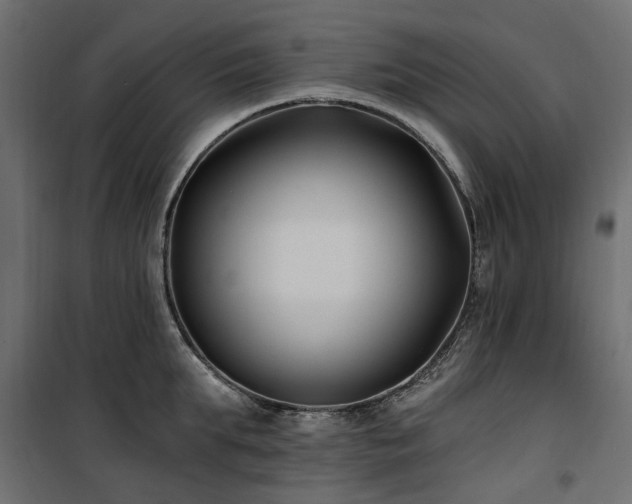 X0000100870903200806201237
