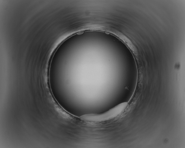 X0000100870904200806201237