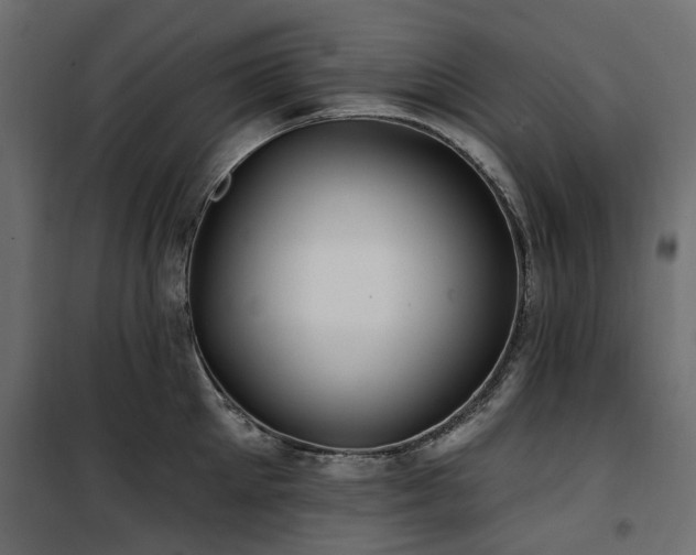 X0000100870905200806201237