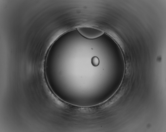 X0000100870906200806201237