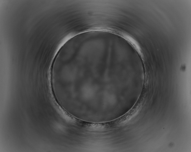 X0000100870907200806201237